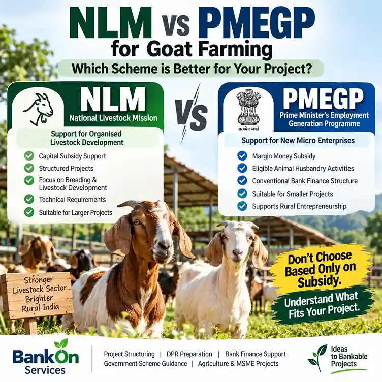 NLM vs PMEGP for Goat Farming: Which Scheme is Better?